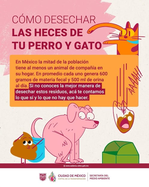 Infografía de la SEDEMA sobre cómo se deben desechar las heces de las mascotas. Foto: SEDEMA
