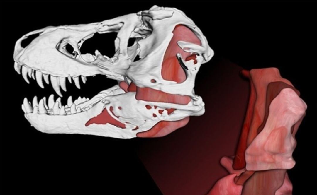 (FOTO: Europa press)