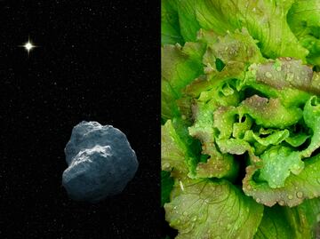 ¿Se puede cultivar alimentos en un asteroide?