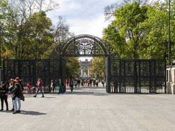 Diputados de CDMX se enfrentan por defensa del Bosque de Chapultepec; buscan evitar privatización de áreas verdes