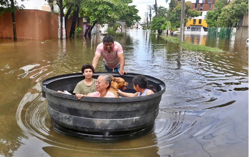 Asimismo, durante las labores de apoyo a la población, elementos del Ejército, Guardia Nacional y de la Marina han puesto a salvo a diversos animales en distintas colonias y en la zona rural del municipio de Guerrero. Foto: Valente Rosas/EL UNIVERSAL