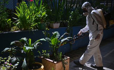 Epidemia de dengue en Latinoamérica enciende alarmas