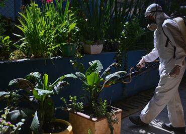 Brasil registra nuevo récord de muertes por dengue