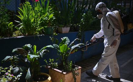 Epidemia de dengue en Latinoamérica enciende alarmas