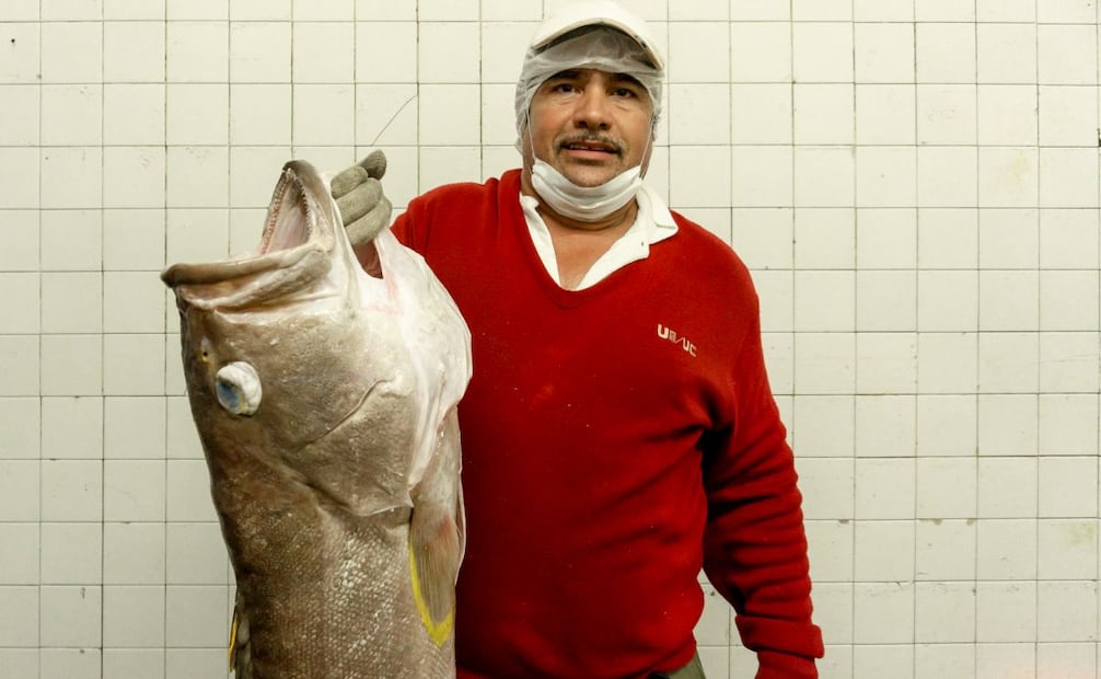 Foto: Comisión Nacional de Acuacultura y Pesca (Conapesca)