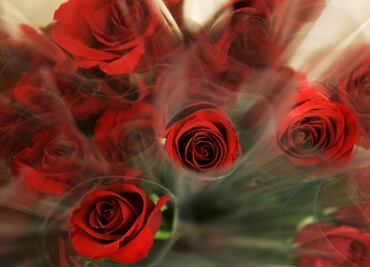 How much will Mexicans spend on Valentine's Day?