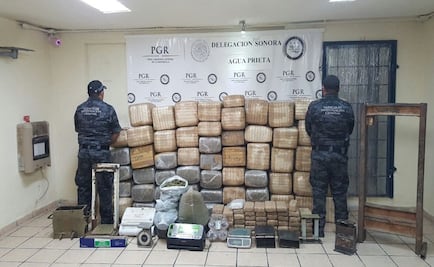 PGR asegura 600 kilos de marihuana en Sonora 