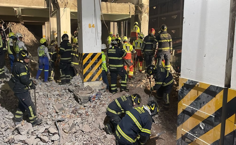Tres trabajadores murieron por colapso de edificio en Calzada San Antonio Abad; perro rescatista hizo marcaje. Foto: Especial