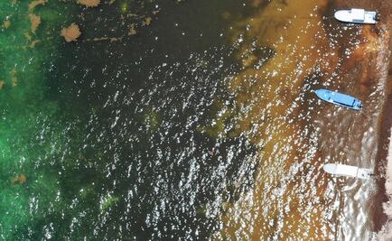 Piden hoteleros de Cancún se evite bloqueo de foro sobre sargazo