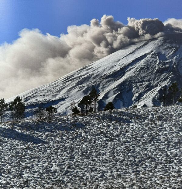 Foto: Rafael Doníz/EL UNIVERSAL.
