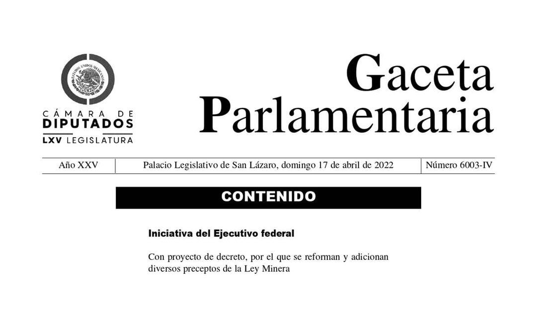 PDF de la ley que nacionaliza el litio. Foto: Captura pantalla. 