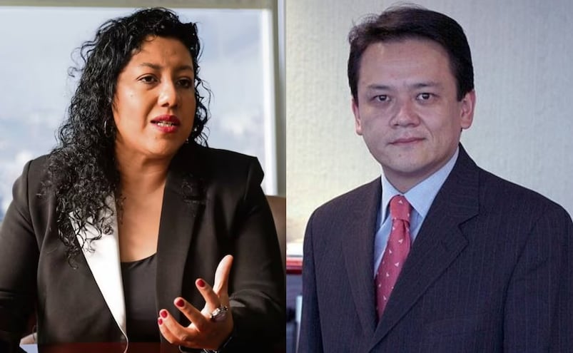 Acusan de plagio a integrante del Sistema Nacional Anticorrupción; presidenta Vania Pérez pide investigación