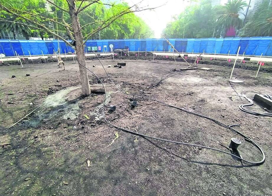 La base del ahuehuete, que fue plantado el viernes pasado, fue parcialmente cubierta con cemento, además de que se dañó el sistema de riego, Foto: Especial