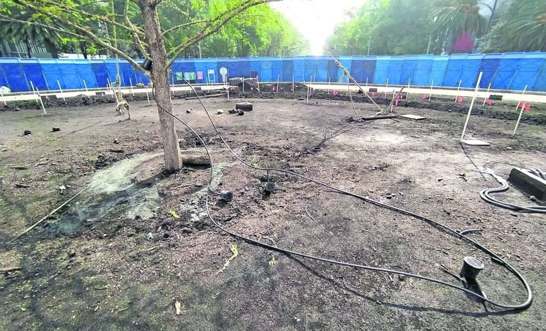 La base del ahuehuete, que fue plantado el viernes pasado, fue parcialmente cubierta con cemento, además de que se dañó el sistema de riego, Foto: Especial