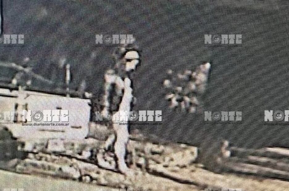 Una cámara de seguridad captó a Cecilia Cecilia Strzyzowksi el 2 de junio entrando a la casa de los Sena en Resistencia, pero no se la ve salir. Foto: La Nación/GDA