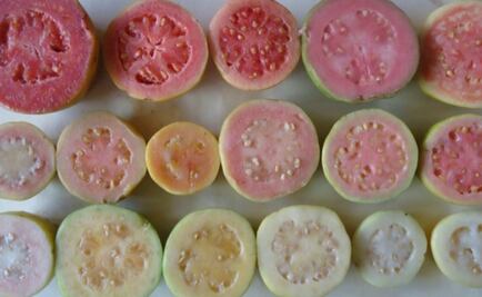 Nuevas especies de guayaba en México