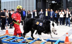 UNAM adopta dos lomitos para prevención de riesgos; fueron donado por el gobierno federal