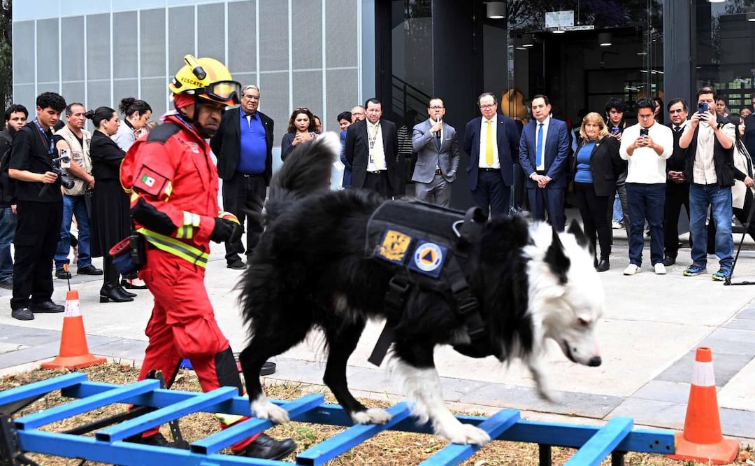Gobierno dona dos binomios caninos a la UNAM para prevención de riesgos (05/03/2026). Foto: Especial