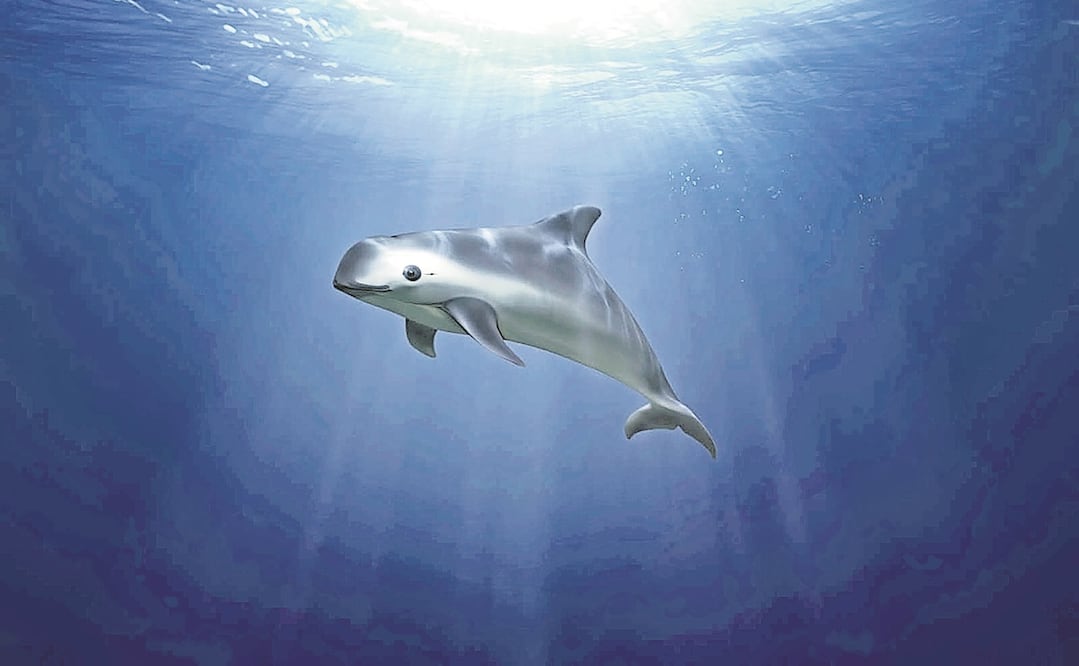 Foto: Archivo El Universal