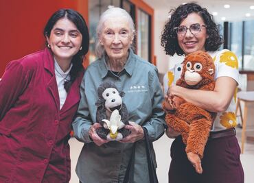 Adiós a Jane Goodall, la científica que cambió la forma de entender a los chimpancés