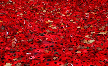 First World War Centenary: Lessons in forgiveness