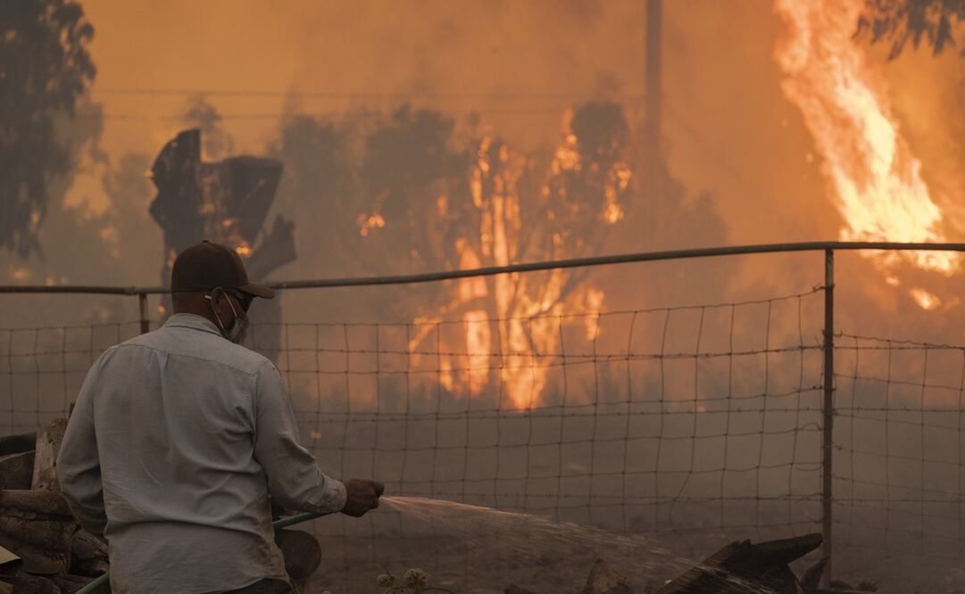 Foto: David McNew/Getty Images/AFP