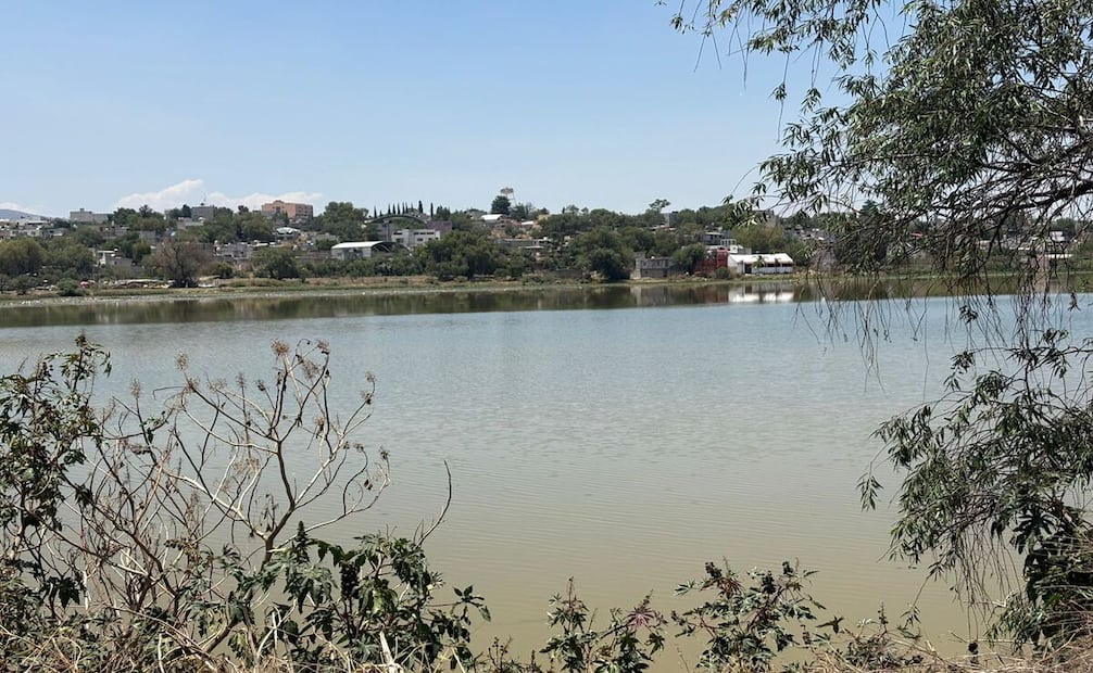 Laguna / Foto Arturo Contreras