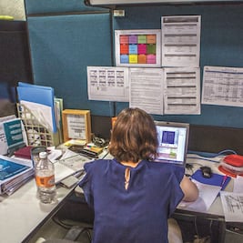 Nube salva a empresa de lácteos en el 19S