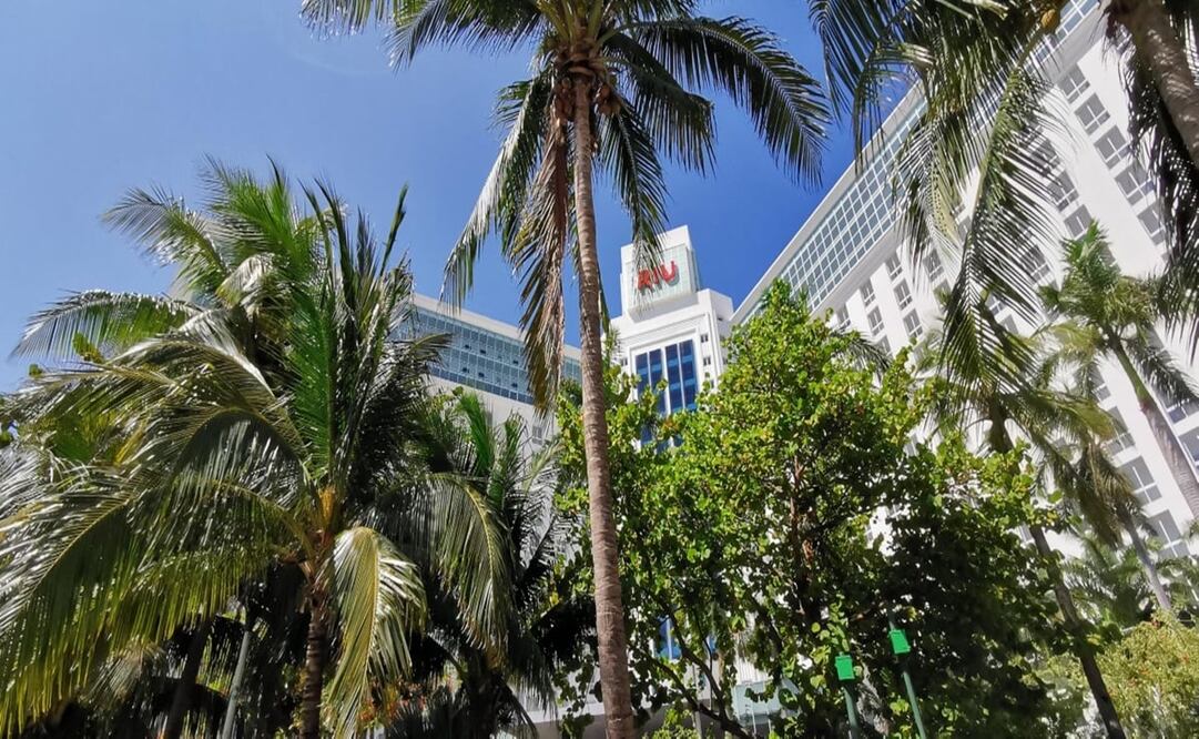 Foto: Adriana Varillas/ EL UNIVERSAL