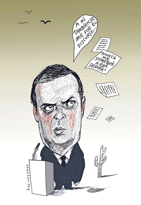 Cartón de Helioflores