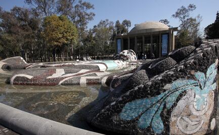 Museo de Historia Natural y Cárcamo de Dolores cerrarán hasta nuevo aviso por Covid-19