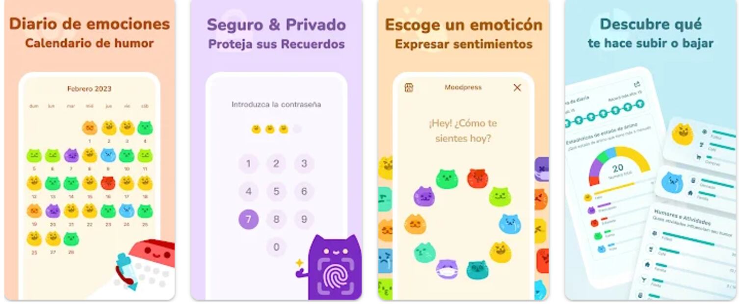 Foto: Captura de pantalla