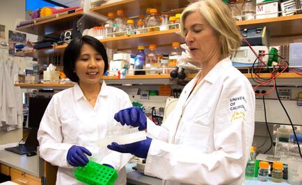 Bioquímicas premiadas piden que expertos marquen límites éticos a la ciencia