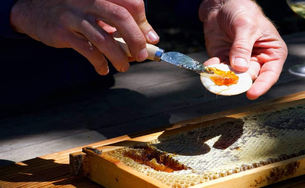 Foto: Cortesía / Richard Morley para Wine Institute.