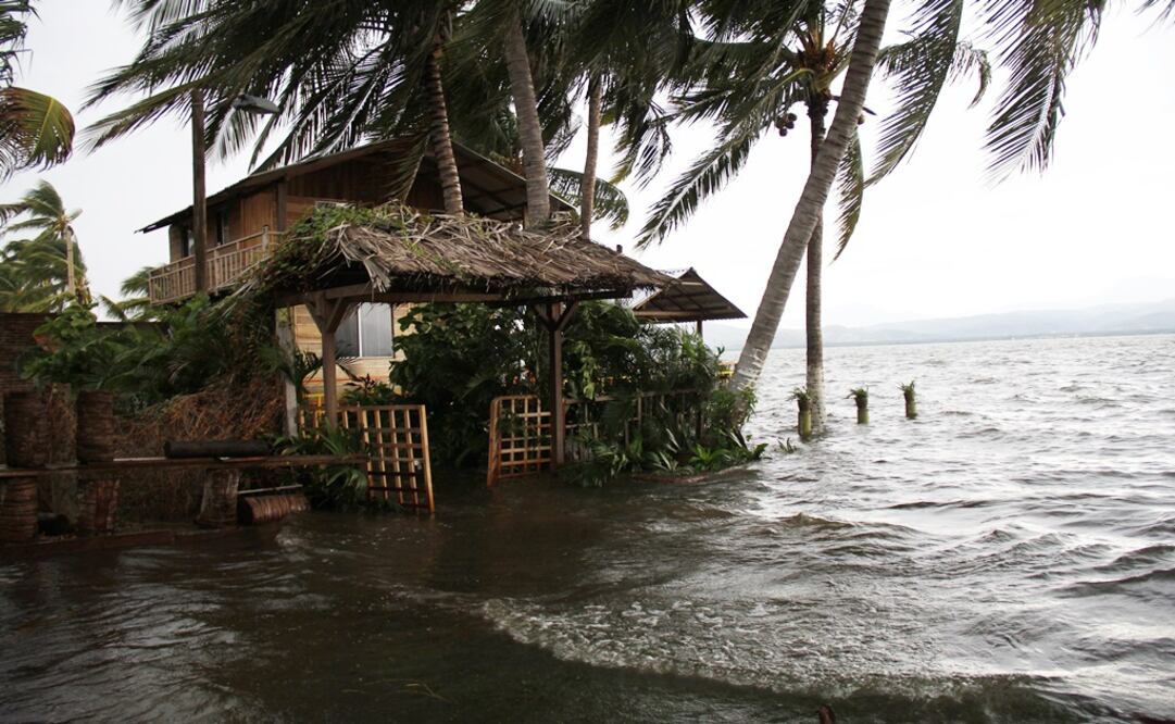 Sigue EN VIVO la trayectoria de la tormenta tropical "Arlene" por México. Foto: EFE