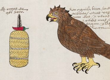 Indagan sobre la conformación química y el uso del chile