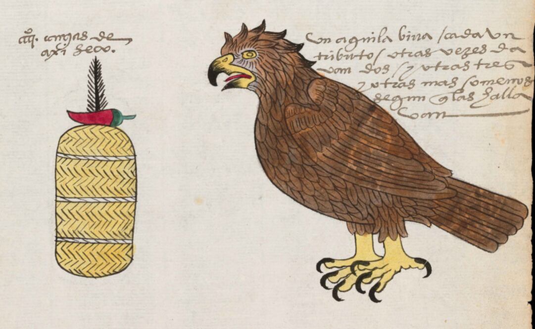 Fotos: Captura de pantalla