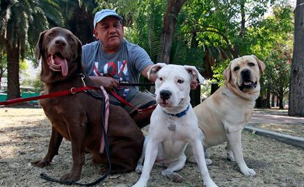 Los perros son capaces de mentirte por comida