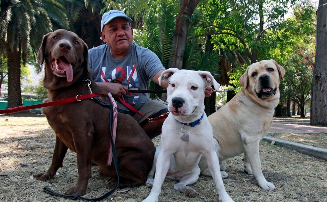 (FOTO: Archivo/EL UNIVERSAL)