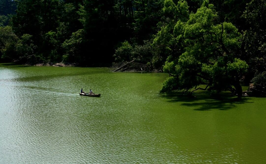 Navegar en lancha por la presa la Soledad, rodeada de árboles. (Foto: Cortesía Turismo Municipal de Tlatlauquitepec) 
