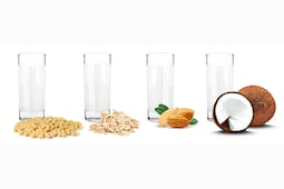 ¿Cuál es la mejor bebida vegetal? Soya vs. almendra, avena y coco