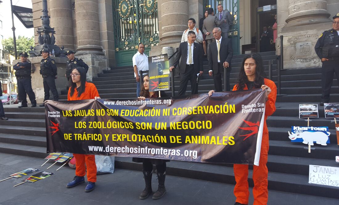 Sandra Hernández / EL UNIVERSAL