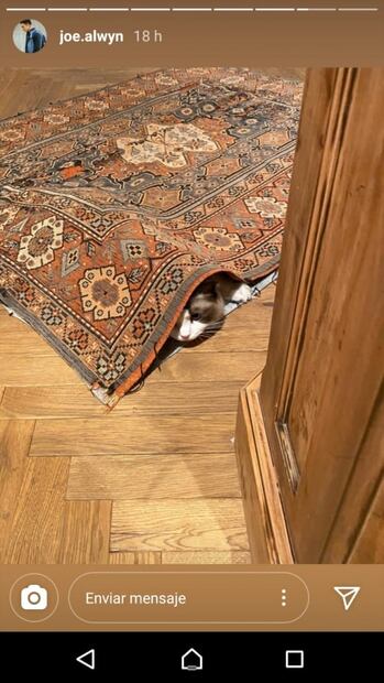 Tiernas fotos revelan que Taylor Swift pasa cuarentena con su novio