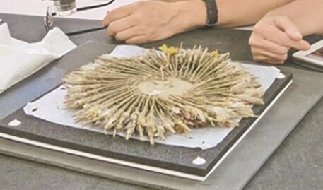 ¿Con el falso penacho de Cuauhtémoc la 4T quiere celebrar La Grandeza de México?