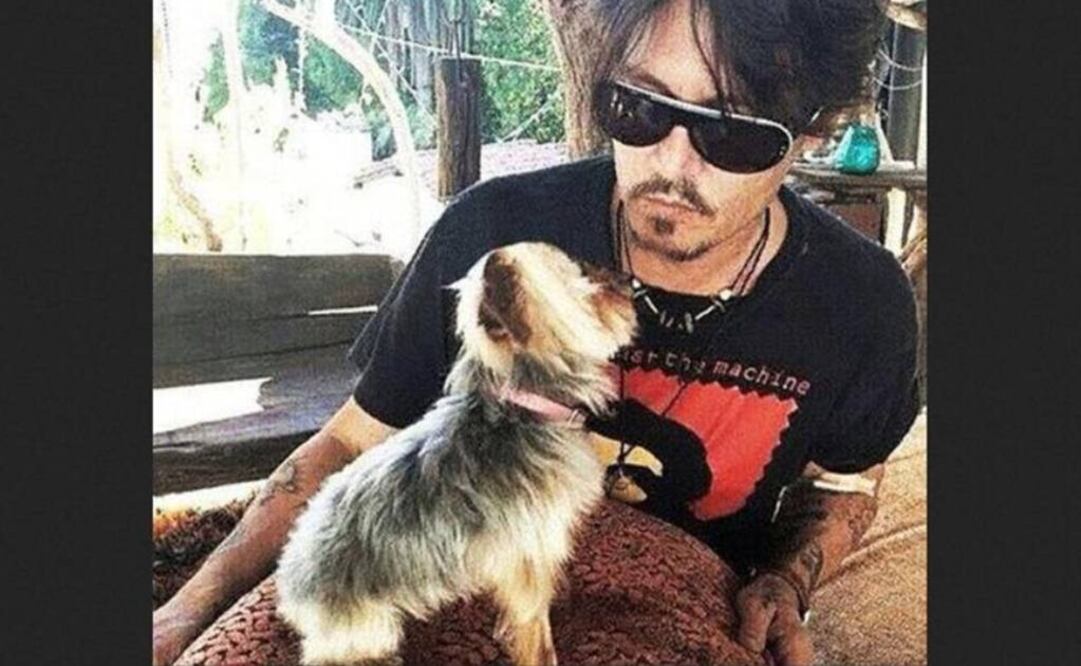 El ministro de Agricultura, Barnaby Joyce, ordenó a Depp que tenía 48 horas para mandar de vuelta a los dos yorkshire terriers a Estados Unidos: Instagram