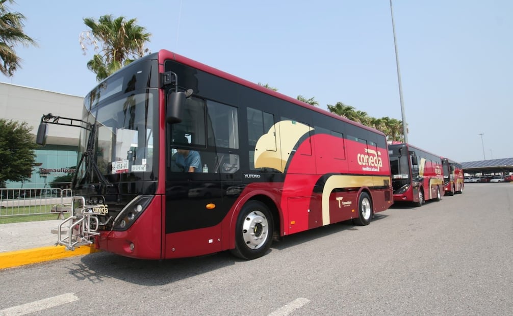 Ruta Conecta en Tamaulipas; arranca transporte gratuito e incluyente en Ciudad Victoria. Foto: ESpecial