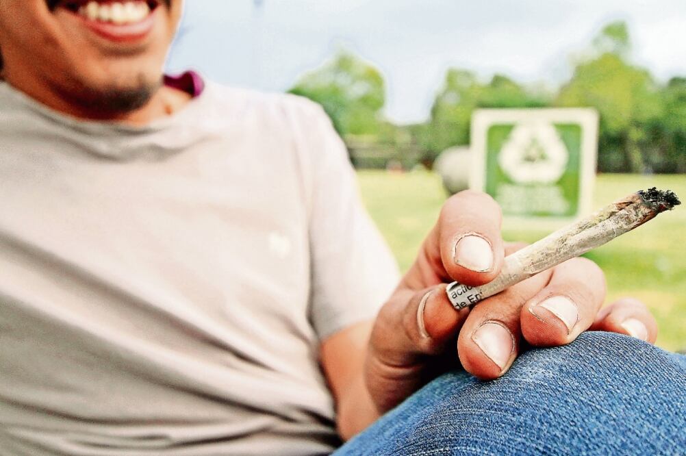 Especialistas y organismos civiles plantean que se erradique la política prohibicionista en el uso de drogas, por lo que consideran que se deben reformar políticas públicas para no criminalizar el uso medicinal y lúdico de la 'cannabis' (CARLOS MEJÍA)