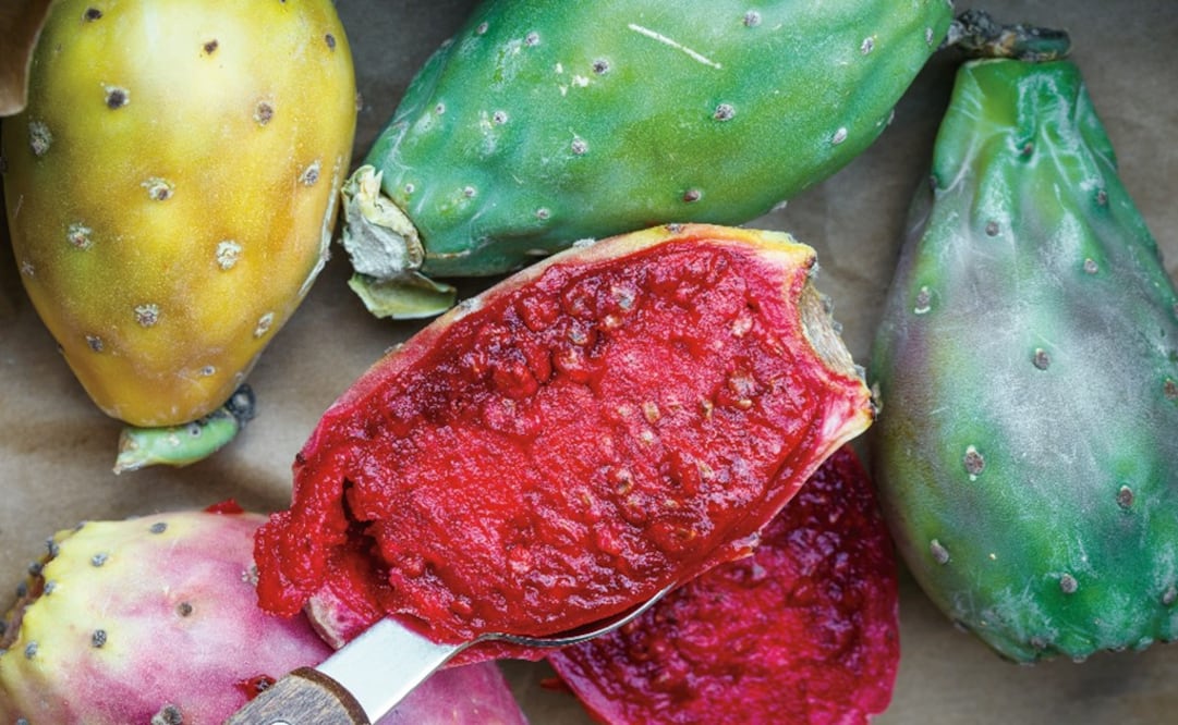 Prickly pears are fresh, delicious, and healthy - Photo: File Photo/EL UNIVERSAL