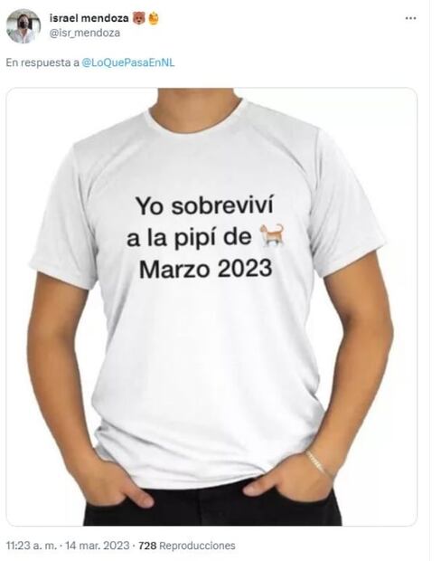 Mal olor en Nuevo León desata memes contra gatos, pero ¿qué lo provocó?