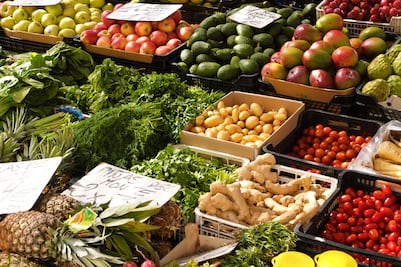 México y Canadá amplían intercambio de productos vegetales; buscan ser aliados estratégicos en abasto de alimentos